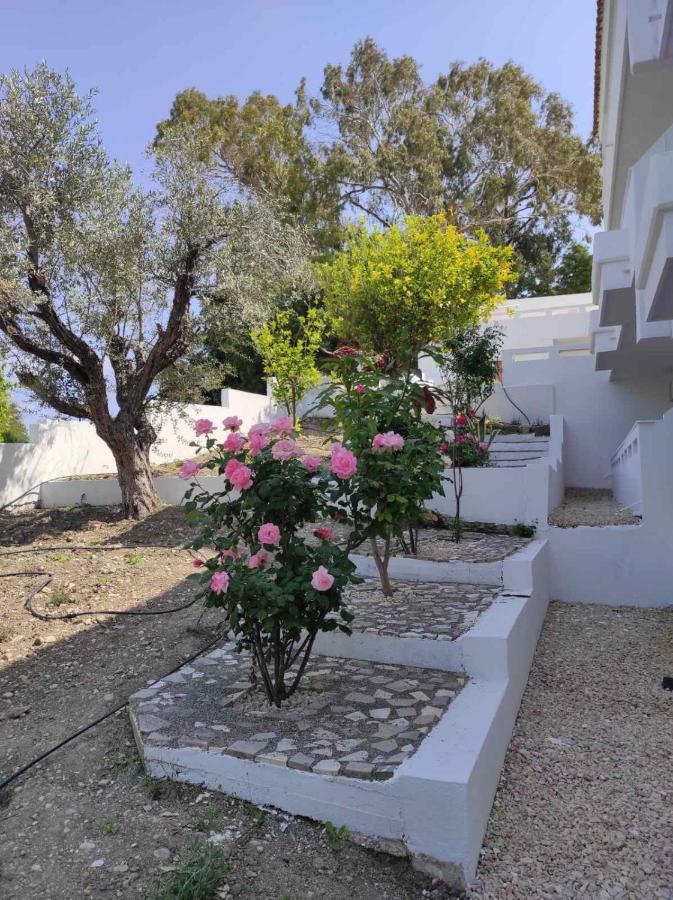 Arocaria - Faliraki Peaceful Apartments Eksteriør billede