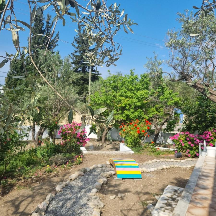 Arocaria - Faliraki Peaceful Apartments Eksteriør billede